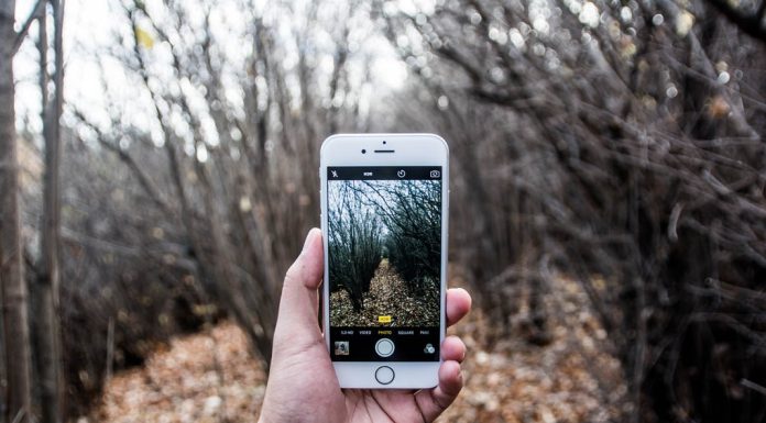 Watch Really Funny Animals Do Crazy Things