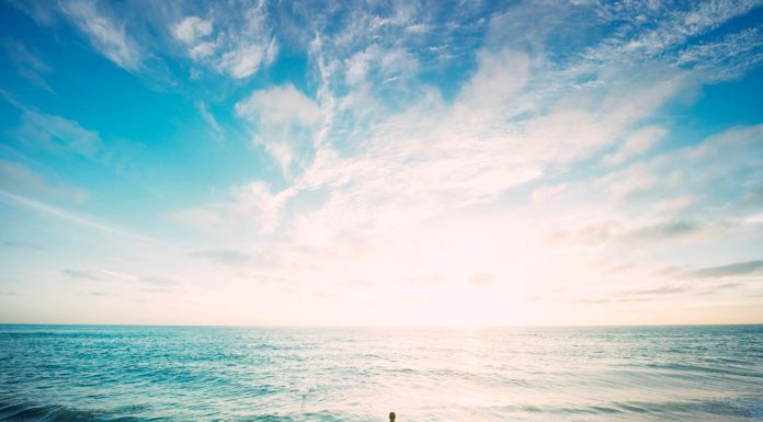 Discover the Birth Place of Pizza